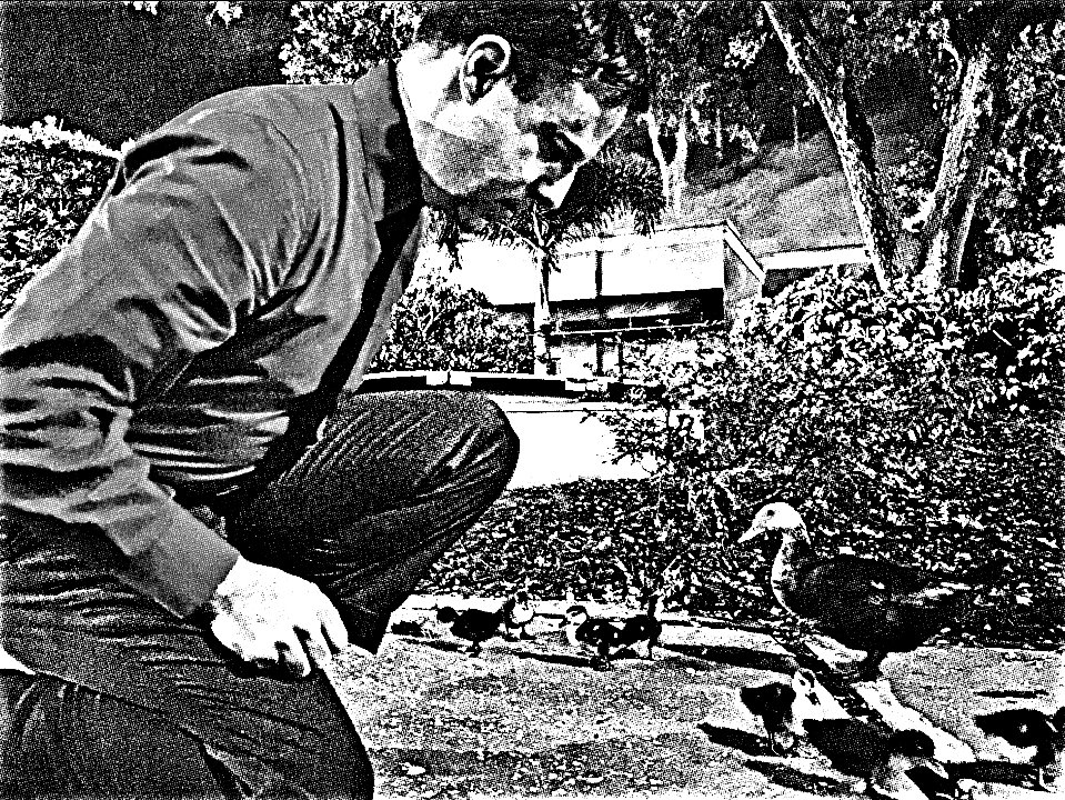 Mr. Kraftwerk feeds the ducks.